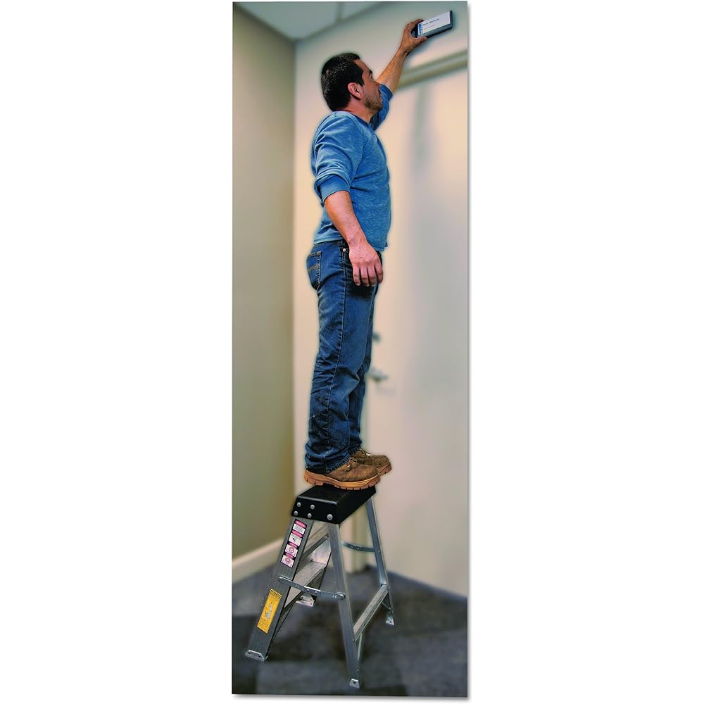 Louisville Ladder 2-Foot Aluminum Step Stool Industrial, 300-Pound Load Capacity, Type IA, AS3002